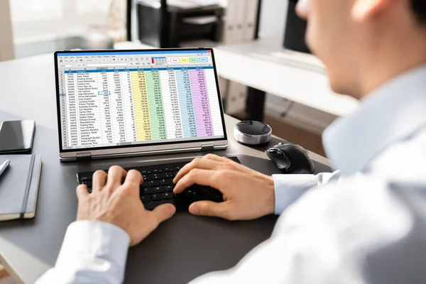Elektronický Tabulkový Analytik Nebo Auditor Používající Software Hybridním Notebooku — Stock fotografie