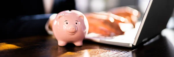 Online Piggy Bank Saving Money Using Internet — 스톡 사진