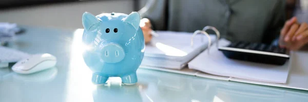 Conselheiro Financeiro Com Piggybank Cálculo Economia Dinheiro — Fotografia de Stock