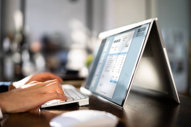 Dijital Elektronik Fatura ve Bilgisayardaki E Muhasebecisi