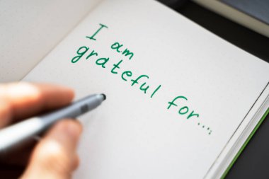 Minnet Günlüğü Konsepti. I 'm Grateful In Journal' ı yazıyorum