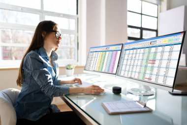 Analist Çalışan Bilgisayar Ekranında Hesap Tablosu Kullanıyor