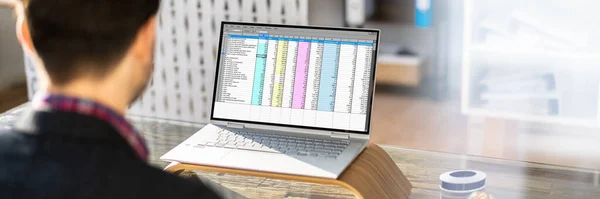 Analista Finanziario Che Utilizza Software Spreadsheet Sul Computer Portatile — Foto Stock