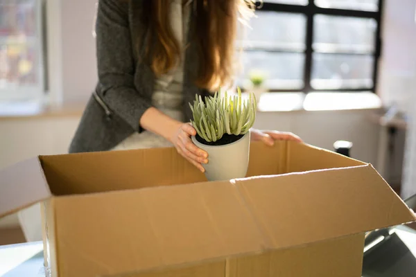 Desistir Empregado Segurando Caixa Papelão Mesa — Fotografia de Stock