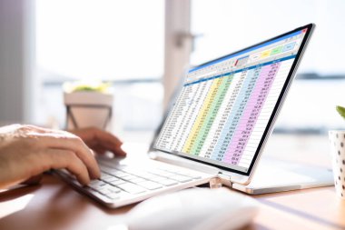 Elektronik Hesap Tablosu Analisti ya da Denetleyici Hibrit Laptop 'ta Yazılım Kullanıyor
