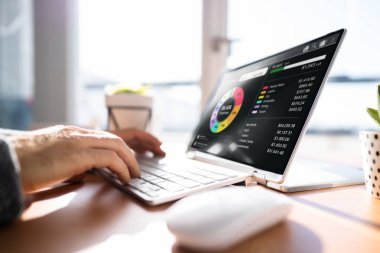 Para Harcama İzleme Uygulaması. Çevrimiçi Dijital Parça