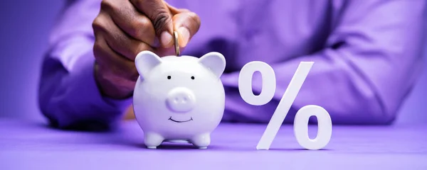 Finansiering Procent Och Piggybank Med Pengar Ekonomi Och Budget — Stockfoto