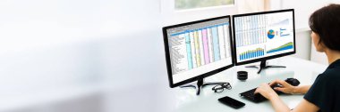 Analizci Denetleyici Bilgisayar Ekranında Elektronik Hesap Tablosu