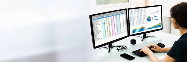 Elektronische Tabellenkalkulation Auf Dem Computerbildschirm Des Prüfers — Stockfoto