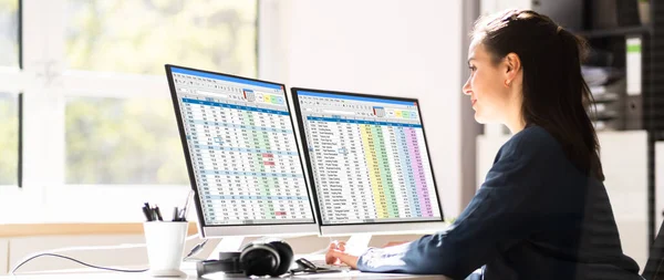 Data Analyst Woman Using Spreadsheet Computer — 스톡 사진