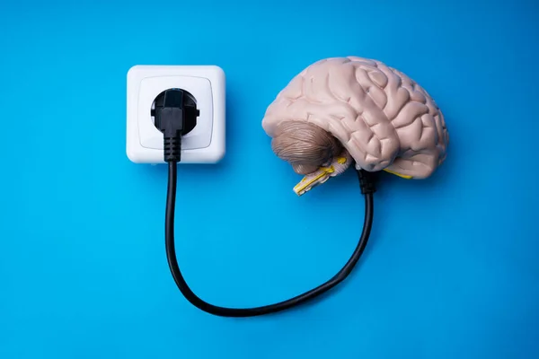 Beyin Zekasını Prizle Doldur Bilişsel Fikir — Stok fotoğraf