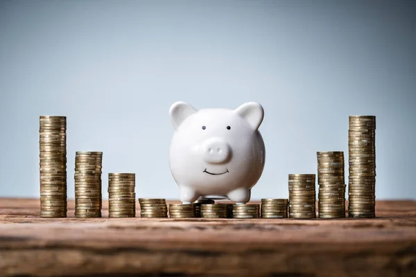 Piggybank Money Support Financial Tax Concept — Stock Photo, Image