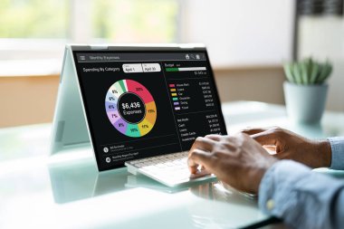 Para, Bütçe ve Harcamalar İçin Bilgisayar Uygulaması