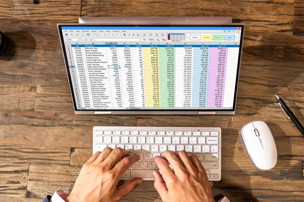 Analyst Employee Working Spreadsheet Report Screen — 스톡 사진