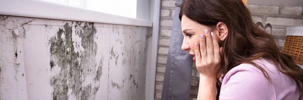 Vista Lateral Una Mujer Joven Impactada Mirando Molde Pared — Foto de Stock