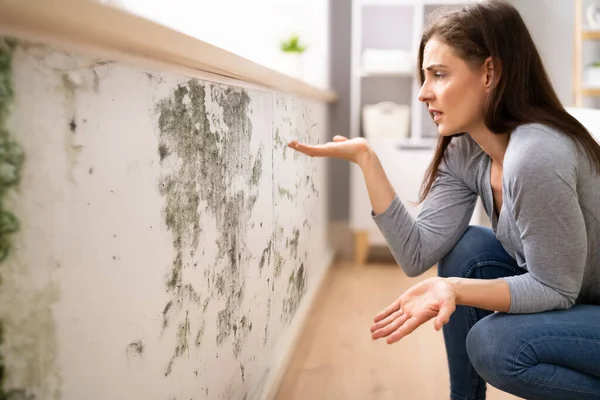 Zijaanzicht Van Een Geschokt Jonge Vrouw Kijken Naar Schimmel Muur — Stockfoto