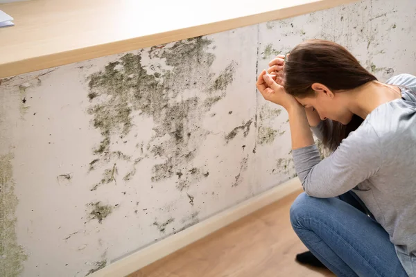 Zijaanzicht Van Een Geschokt Jonge Vrouw Kijken Naar Schimmel Muur — Stockfoto