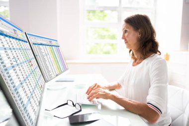 Hesap Tablosu Analizcisi Analiz için Bilgisayar Monitörleri Kullanıyor