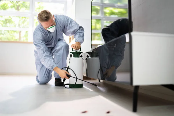 Pest Control Exterminator Services Spraying Termite Insecticide