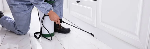 Close Pest Control Worker Hand Spraying Pesticide White Cabinet — Stock Photo, Image