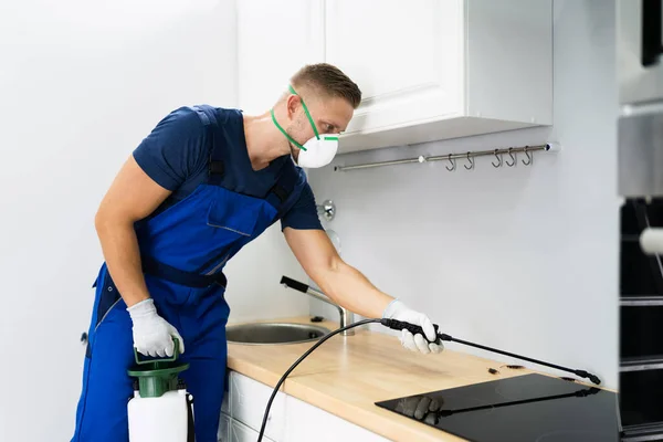 Pest Control Worker Spraying Insecticide Domestic Kitchen —  Fotos de Stock