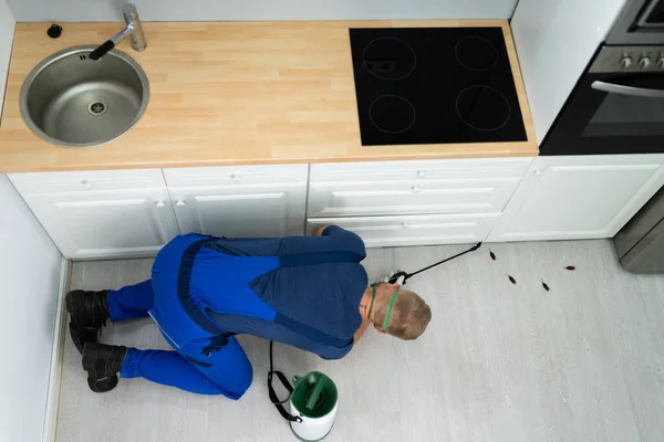 Pest Control Worker Spraying Insecticide Domestic Kitchen — Fotografia de Stock