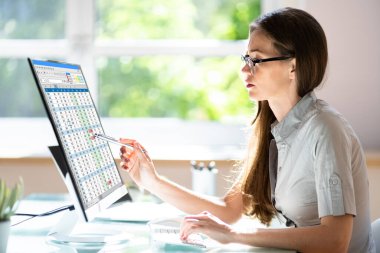 Analizci Denetleyici Bilgisayar Ekranında Elektronik Hesap Tablosu