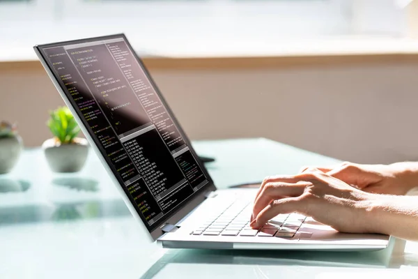 Programmatore Donna Che Codifica Sul Computer Ragazza Codificatore — Foto Stock