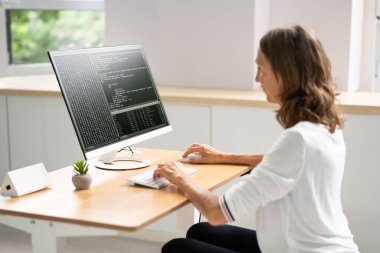 Yazılım Programcısı veya Yazılımcı Kadın Ofis Bilgisayarını Kullanıyor
