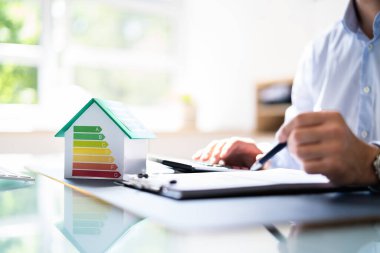 Ev Enerjisi Denetleme. Verimli Tüketim Faturası ve Ekonomi