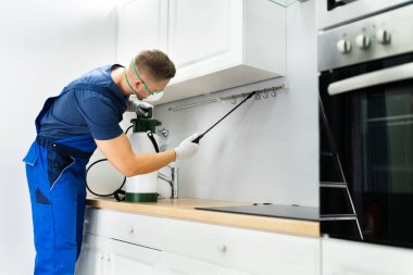 Pest Control Worker Spraying Insecticide In Domestic Kitchen