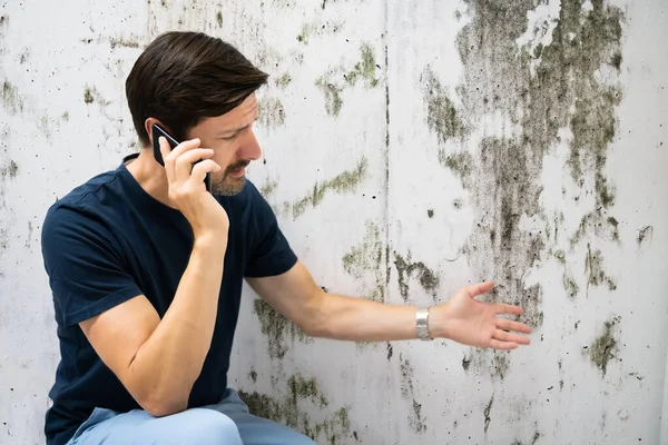 Wall Mögel Problem Huset Fukt Och Svamp — Stockfoto