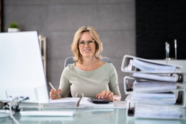 Dosya Yığını Fatura Denetimi Yapan Muhasebeci