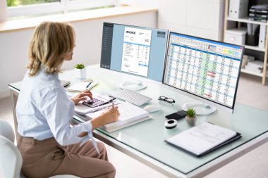 İş Faturası Vergi İdaresi. Muhasebeci Monitör Kullanıyor