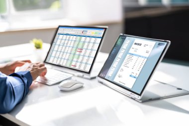 Bilgisayardaki Fatura Muhasebe Yazılımı. Dijital İş Yasası