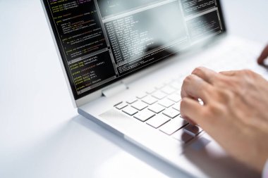 Bilgisayarda Geliştirme Yazılımı Kullanan Bilgisayar Programcısı