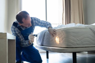 Yatak Böceği İstilası ve Tedavi Servisi. Böcek İmha