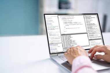 Bilgisayarda Geliştirme Yazılımı Kullanan Bilgisayar Programcısı