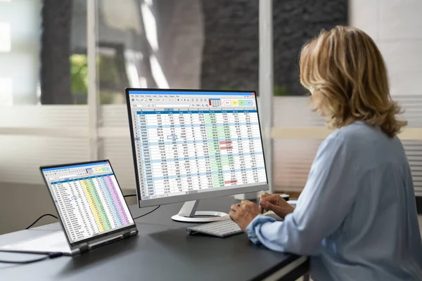 Data Analyst Woman Using Spreadsheet Computer — Fotografia de Stock