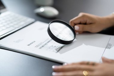 Mali Denetleme ve Vergi Denetleme Denetleme Yapan Denetçi Büyüteç kullanarak Dolandırıcılık Denetleme