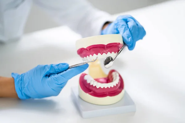 Teeth Care Dentistry Model Dentist Doctor — Stok fotoğraf