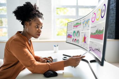 Finansal İş Analitik Veri Paneli. Analist Kadın