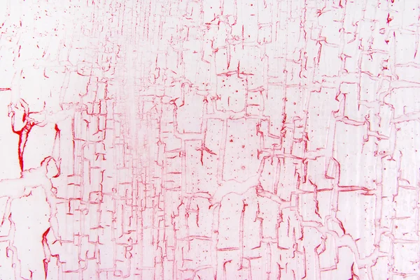 Pink cracked effect texture — Stock Photo, Image