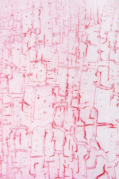 粉红色的裂纹的效果纹理 — 图库照片