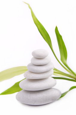 izole zen taşlar