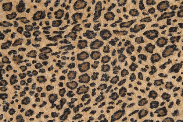 豹子织物纹理 — 图库照片