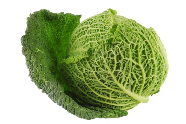 Savoy cabbage isolated — Stock Photo, Image