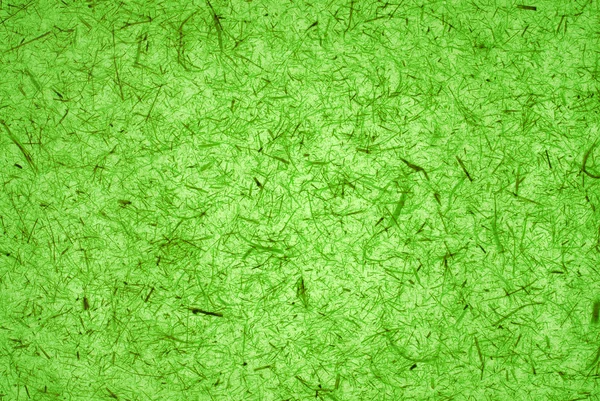 Textura padrão de papel de arroz artesanal verde — Fotografia de Stock