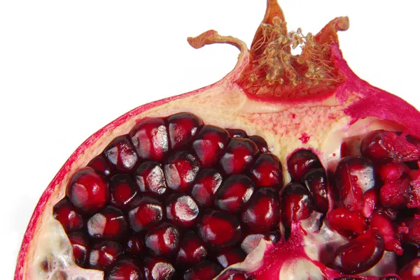 Pomegranate — Stock Photo, Image