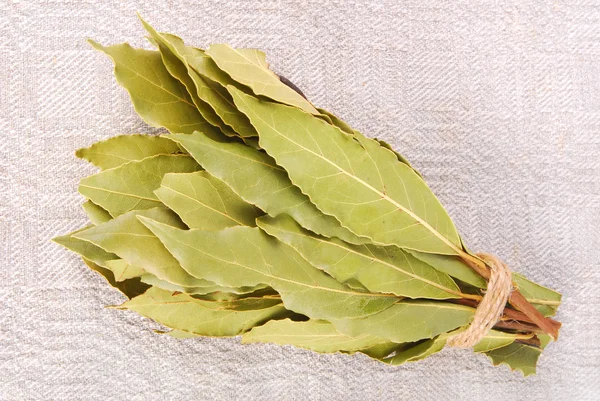 Bay leaves — Stock Photo, Image